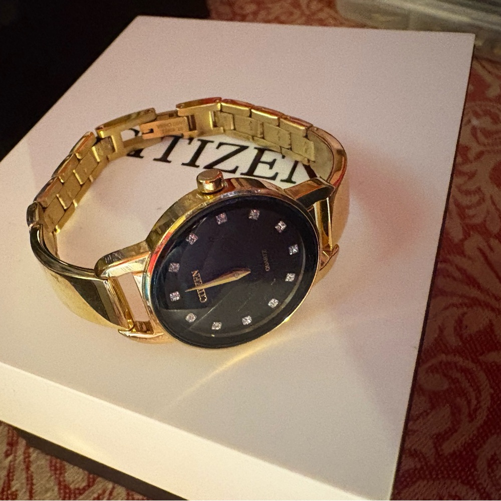 Citizen Gold and Black Watch